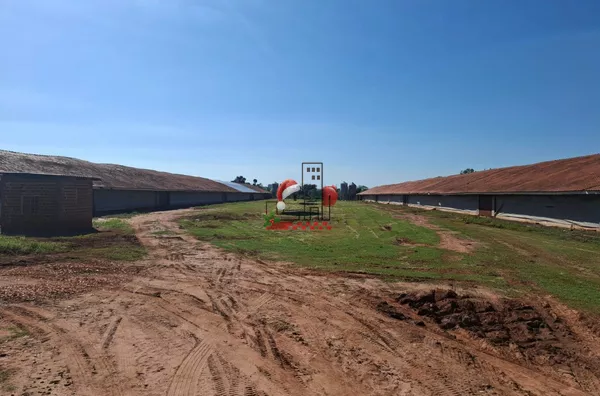 Sítio para venda, Paranavaí