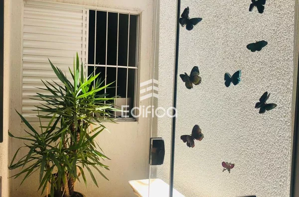 Casa para venda,  Jardim Das Palmeiras, Paranavaí - Foto 5