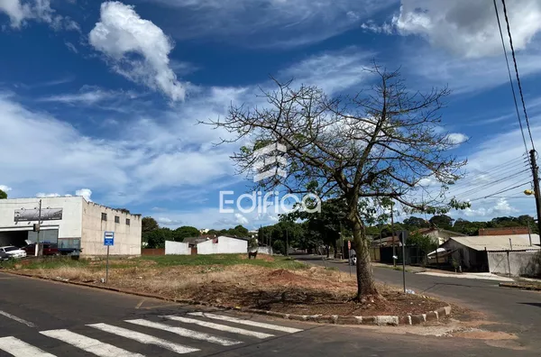 Terreno para aluguel, Paranavaí