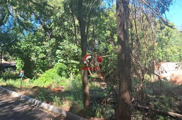 Terreno para venda, Paranavaí