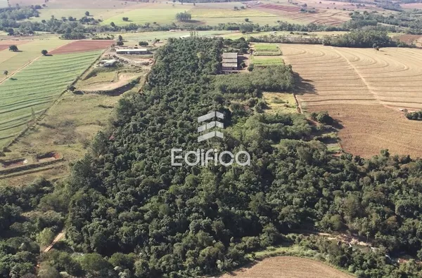 Chácara para venda em Cianorte