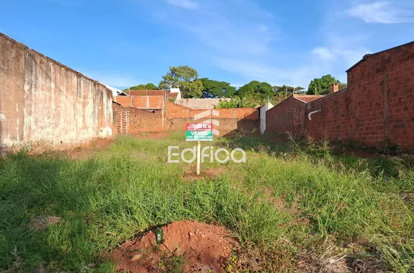Terreno para venda e Aluguel, Jardim Ibirapuera, Paranavaí