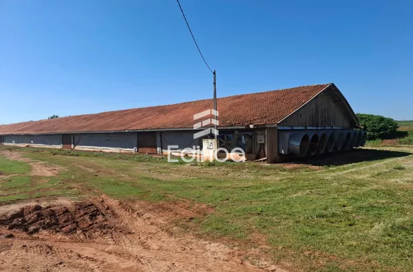 Sítio para venda, Paranavaí