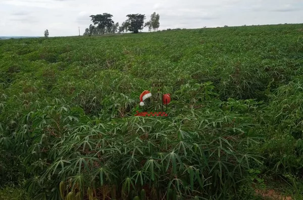 Sítio para venda,  Estrela do Norte