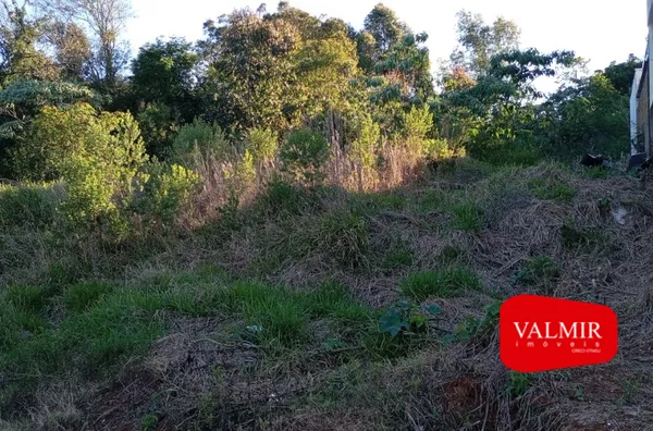 TERRENO Á VENDA, CRISTO REI -PATO BRANCO - Foto 4