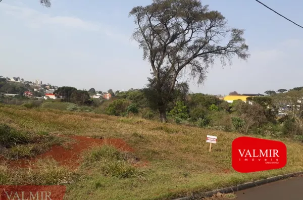 VÔ NINO - BAIRRO BORTOT