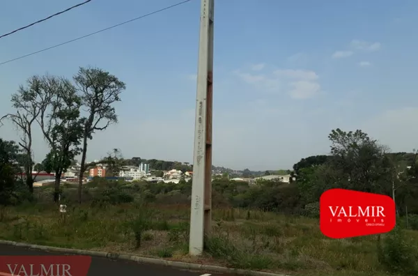 VÔ NINO - BAIRRO BORTOT