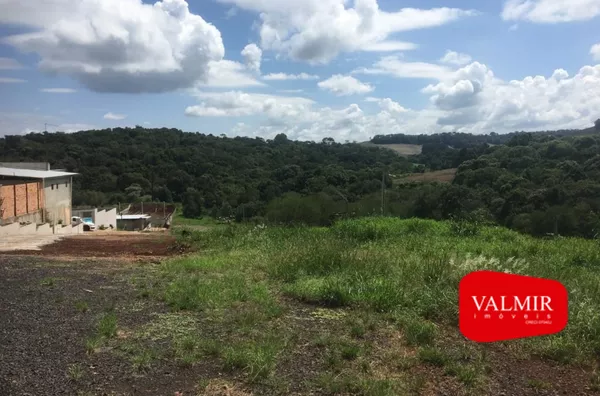 Á VENDA NA  LINHA MARTINELLO