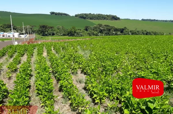 À VENDA NO BAIRRO FRARON