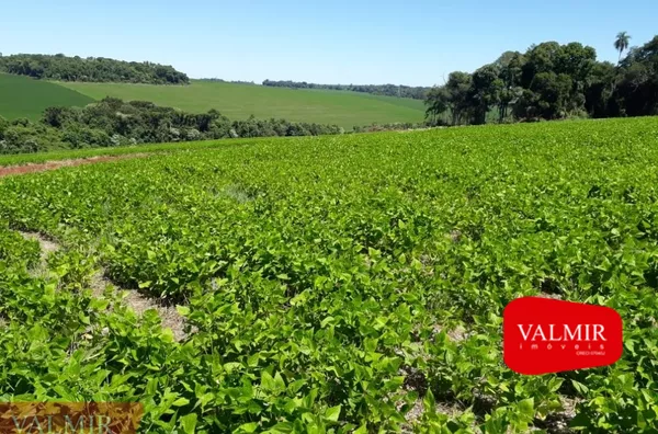 À VENDA NO BAIRRO FRARON