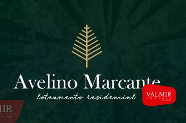 AVELINO MARCANTE - BAIRRO PINHEIROS