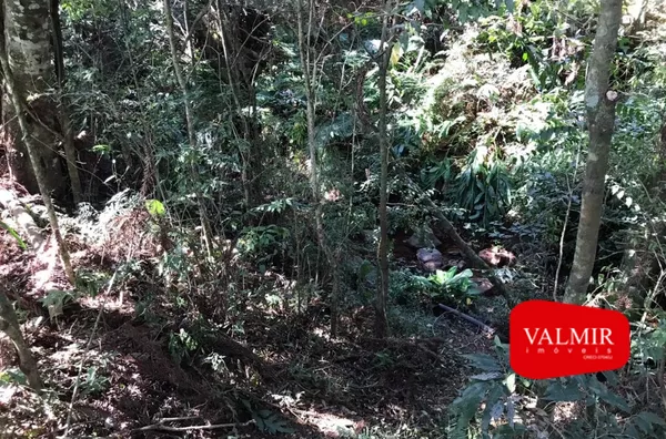 Á VENDA NO GRALHA AZUL