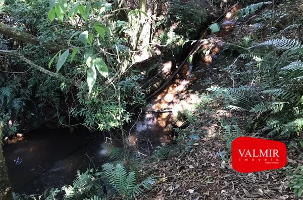 Á VENDA NO GRALHA AZUL