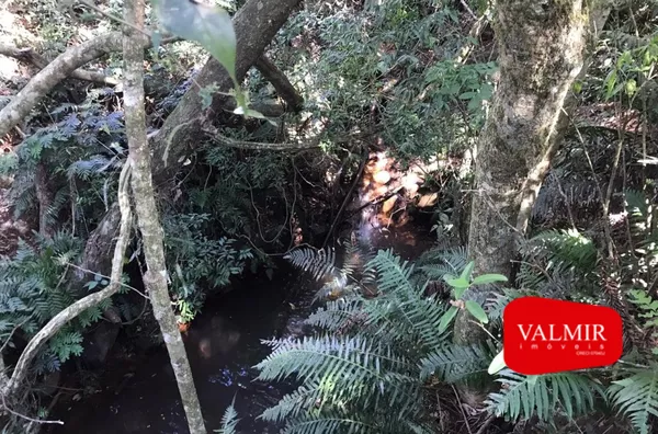 Á VENDA NO GRALHA AZUL