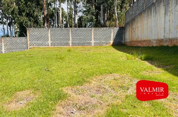 A venda no Fraron, Pato Branco