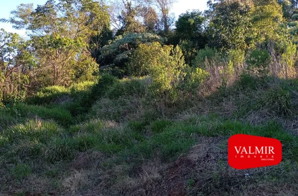 TERRENO Á VENDA, CRISTO REI -PATO BRANCO - Foto 5