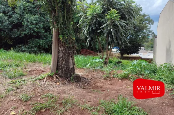 À VENDA NO SÃO FRANCISCO