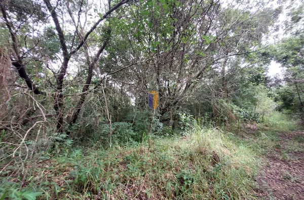 TERRENO - REPRESA ITUPARARANGA (LIGTH) - Foto 11