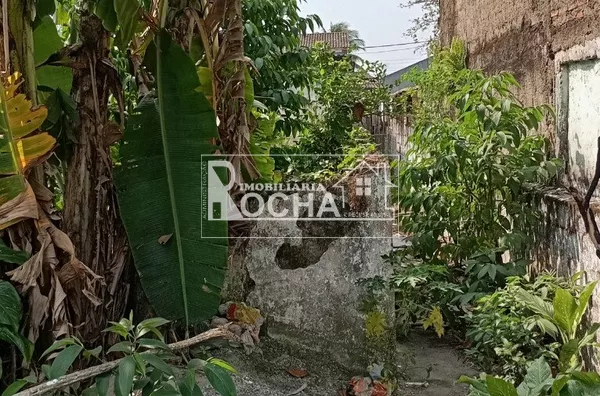 Terreno para venda e aluguel,  Parque São Vicente, São Vicente