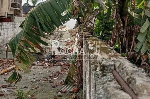 Terreno para venda e aluguel,  Parque São Vicente, São Vicente