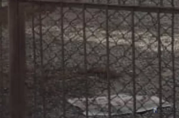 TERRENO PARA LOCAÇÃO, CONJUNTO RESIDENCIAL IRAI SUZANO 