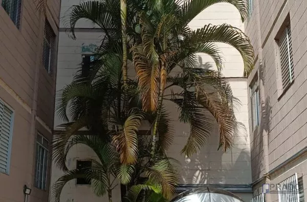 Belissimo Aparatamento para Aluguel na Vila Figueira, Suzano (PROXIMO A SANTA CASA) - Foto 1