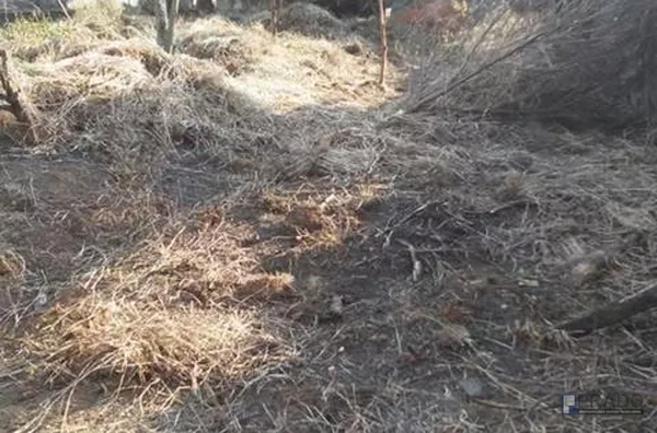 CHÁCARA NO PARQUE ALVORADA EM SUZANO COM CASA DE  2 DORMITÓRIOS -  1.646,87 M² - R$ 250 mil, Cod: 1659