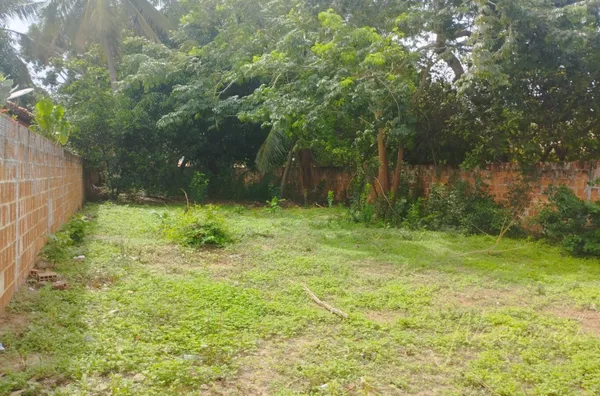 Terreno para venda,  Pedrinhas, Bom Princípio, PI