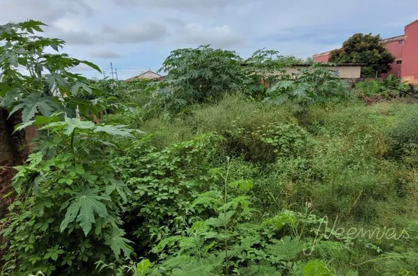 Terreno para venda,  Parnaíba
