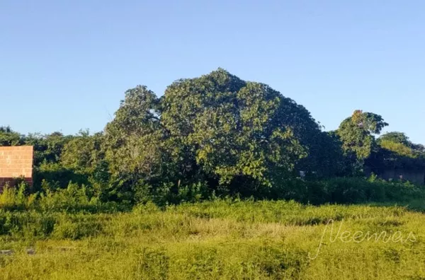 Terreno para venda,  Floriopolis, Parnaíba