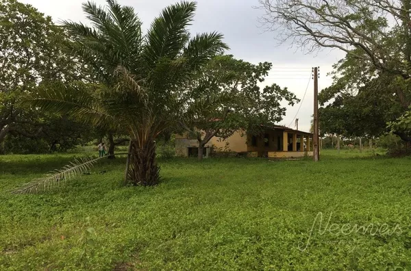 SITIO COM EXCELENTE LOCALIZAÇÃO