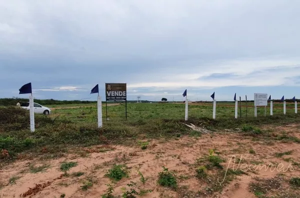 Terreno comercial BR343 
