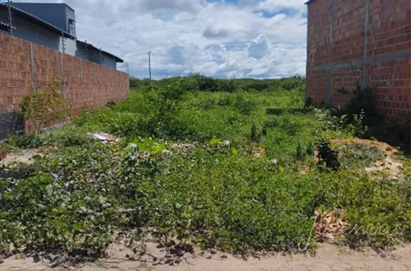 Terreno para venda,  - Selecione - Bairro, Parnaíba