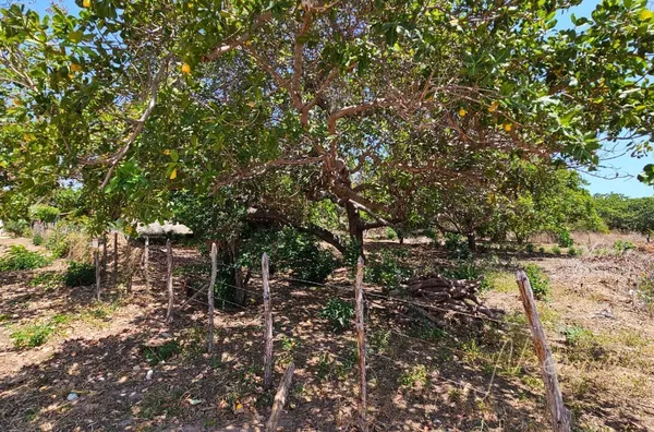 Terreno para venda,  Carpina, Parnaíba