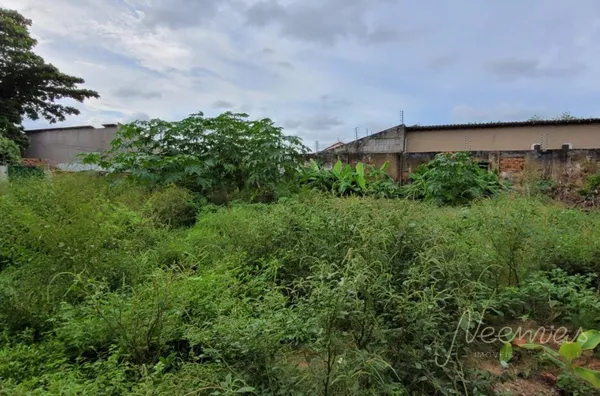 Terreno para venda,  Parnaíba