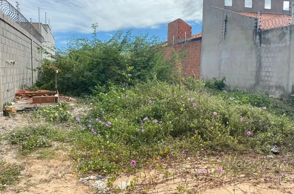 Terreno para venda,  Conselheiro Alberto Silva, - Selecione - Cidade
