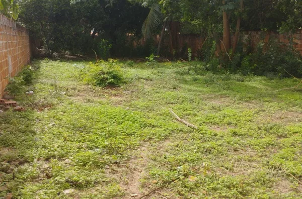 Terreno para venda,  Pedrinhas, Bom Princípio, PI