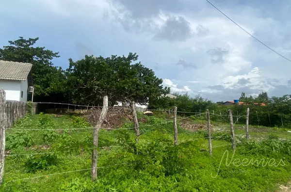Terreno para venda,  Barra Grande, Cajueiro Da Praia