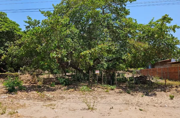 Terreno para venda,  Carpina, Parnaíba