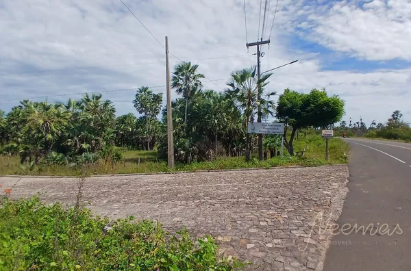 Área rural para venda, Ilha Grande do Piaui Canto do Igarapé