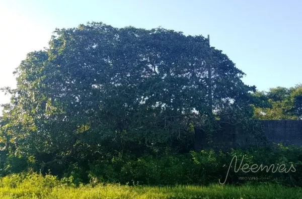 Terreno para venda,  Floriopolis, Parnaíba