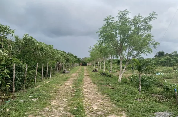 Sítio para venda,  - Selecione - Bairro, Parnaíba