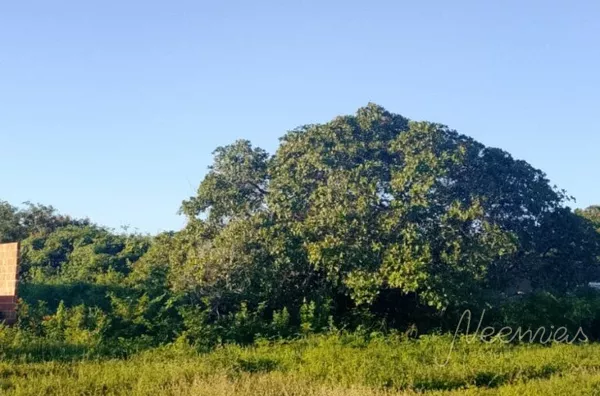 Terreno para venda,  Floriopolis, Parnaíba