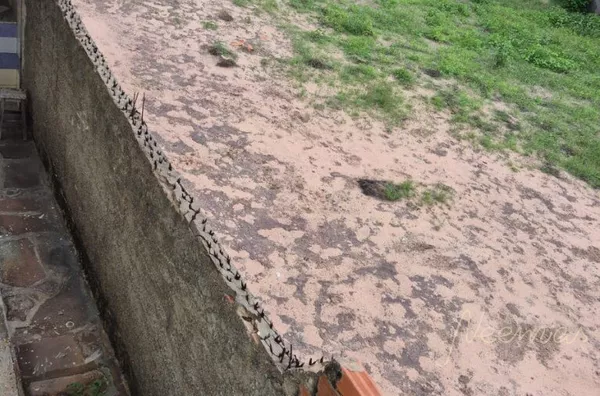 Terreno para venda,  Reis Veloso, Parnaíba