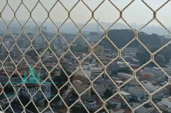 Vista