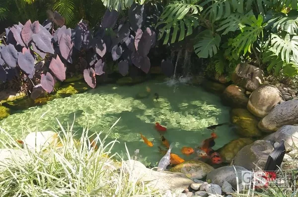 Apartamento para venda, 3 quarto(s),  Vila Carrao, São Paulo