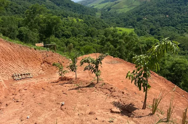 Terreno para venda em Secretário