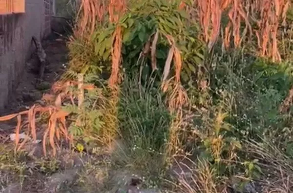 COMPRE JÁ Terreno  COM 10 X 26M no Sitio Santo Antônio Dos Fernandes, Meruoca