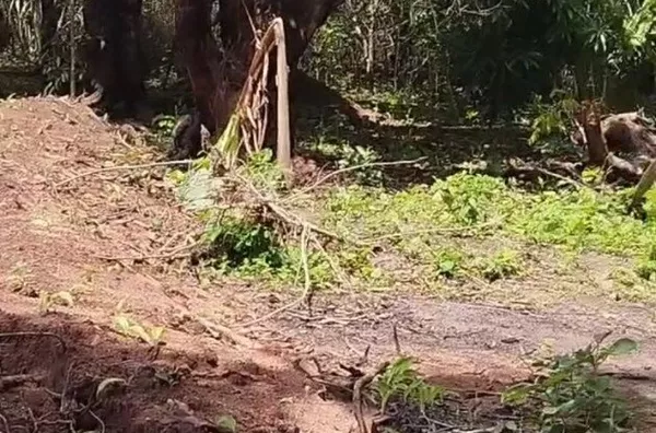 COMPRE JÁ Terreno  COM 15 X 30M no Sitio São Francisco, Meruoca