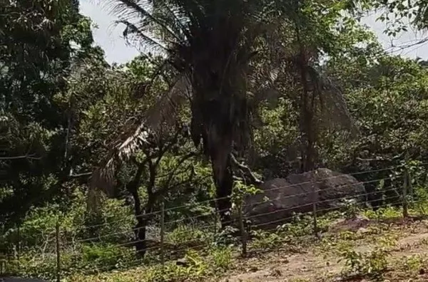 COMPRE JÁ Terreno  COM 15 X 30M no Sitio São Francisco, Meruoca